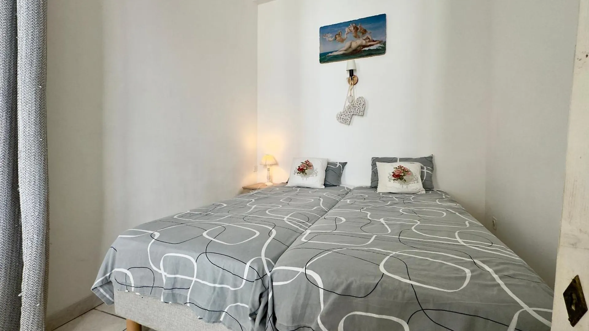 Miky - Scls Locations Daire Cannes